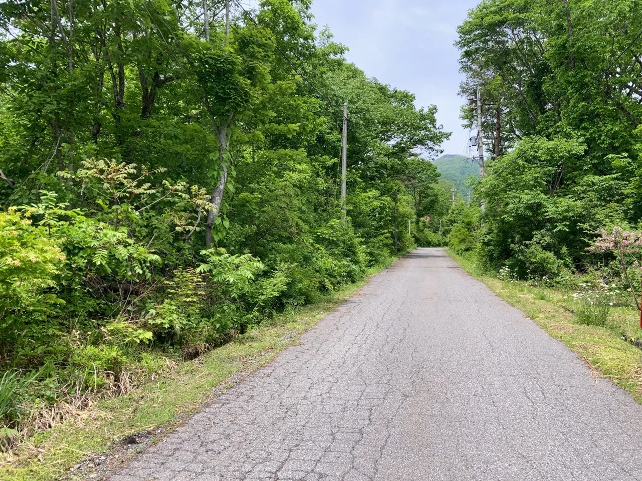 小谷村　栂池高原　別荘地
